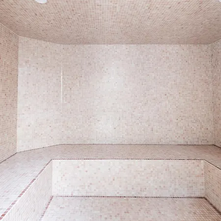 Prestige Hammam & Piscine * Κάννες
